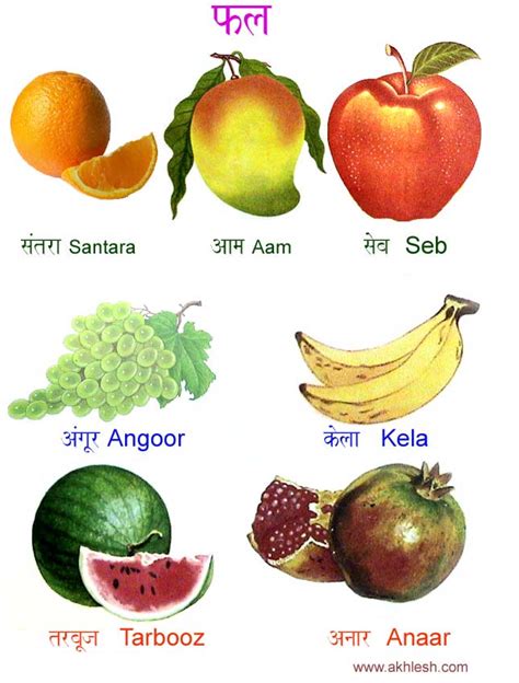 Maybe you would like to learn more about one of these? Fruit names in Hindi! Love the drawings! | Learn hindi ...