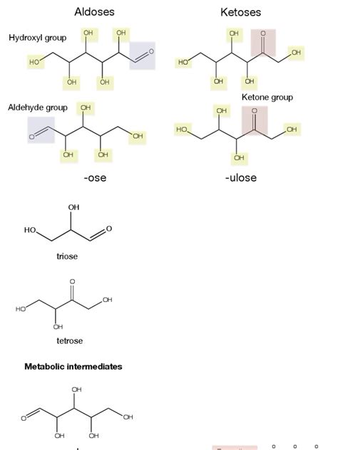 Carbohidratos Estructurapdf Carbohydrates Biochemistry