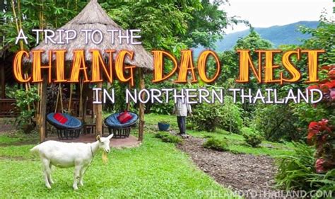 A Trip To The Chiang Dao Nest In Northern Thailand Tieland To Thailand