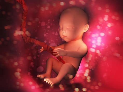 How Do Babies Breathe In The Womb? | The Pulse