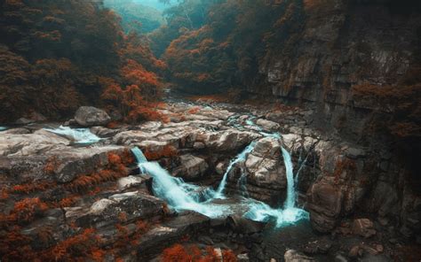 Nature Landscape Fall Forest Waterfall Trees River Mist Shrubs