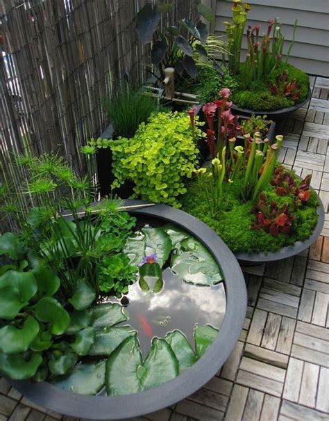 Diy Mini Ponds In A Pot 6 Container Water Gardens Ponds Backyard