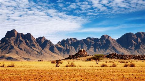 4k Dead Trees Landscape Nature Sand Outdoors Africa Sky Desert