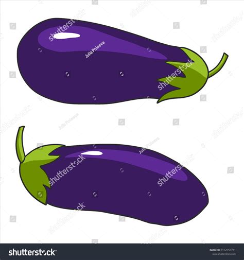 Set Eggplants Vector Illustration Isolated On Stock Vector Royalty