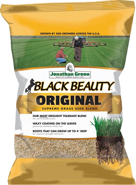 Buy Jonathan Green Black Beauty Grass Seed Mixture Lb Medium Texture Extra Dark Green Color