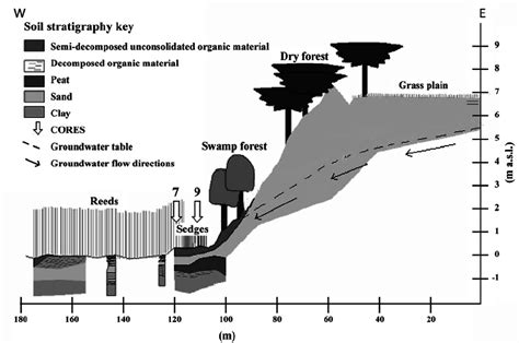 Topography Groundwater Levels Groundwater Flow Direction Vegetation