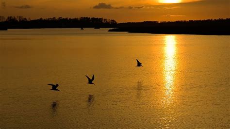 Wallpaper Sunlight Sunset Sea Bay Lake Nature Shore Reflection