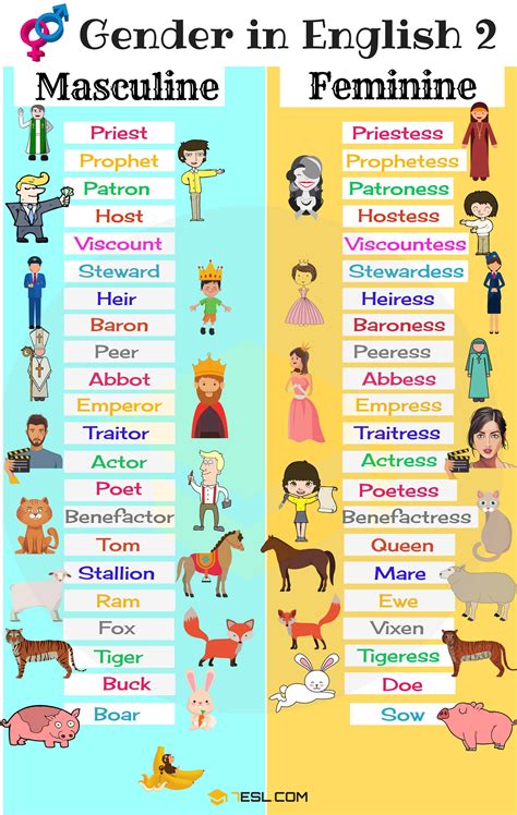 gender nouns list nouns learn english words learn english grammar hot sex picture