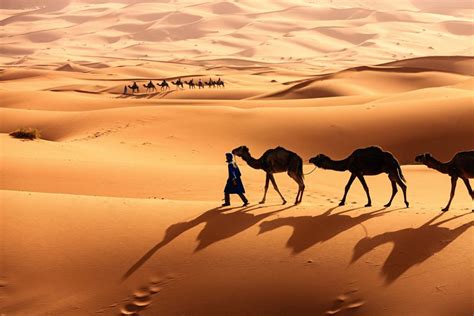 Découvrez le Sahara en Tunisie Un Voyage Abordable et Mémorable Sud