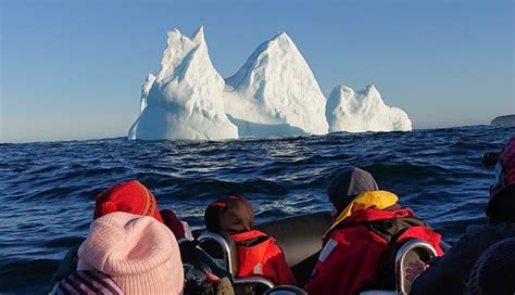 The Best Place To See Newfoundland Icebergs Trinity Eco Tours