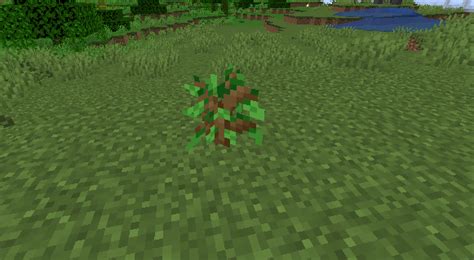 How To Make Trees Grow Faster In Minecraft