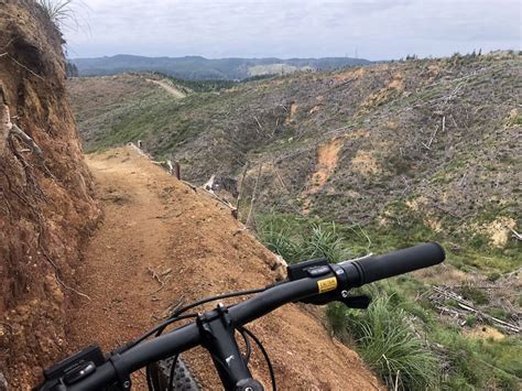 Anaconda Mountain Biking Trail Whangamata Trailforks