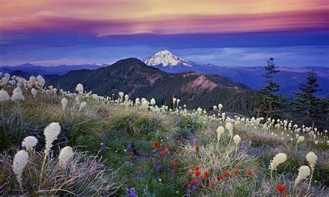 Oregon Landscape Photographer Archives Mike Putnam