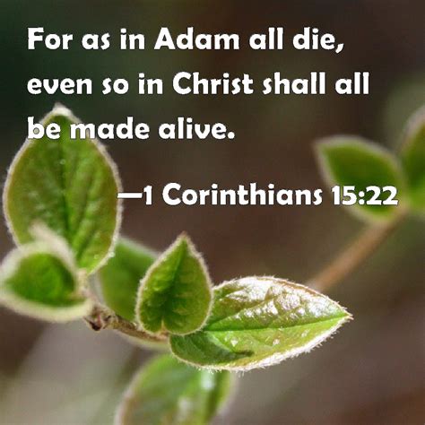 1 Corinthians 1522 For As In Adam All Die Even So In Christ Shall All