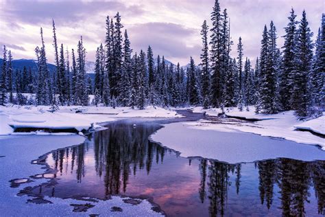 Winters Spring Canadian Rockies Winter Landscape Photography