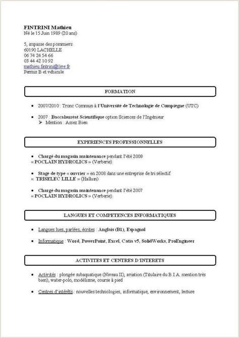 Exemple De Cv Simple Gratuit Pdf  Cv words, Simple cv, Curriculum vitae