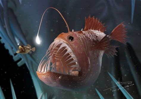Pin By Submissivenes On Underwater World Deep Sea Creatures Angler