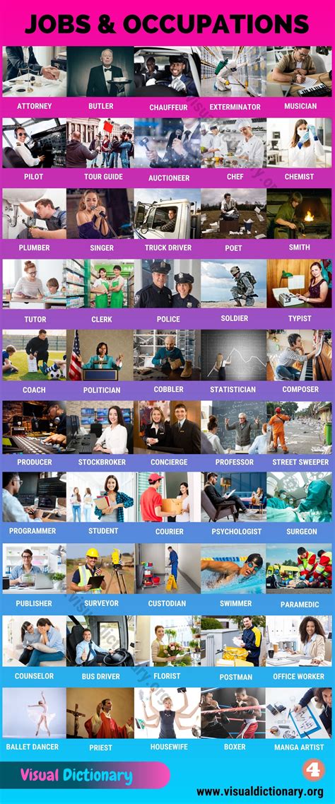 List of Jobs: 260 Popular Jobs and Occupations You Need to Know