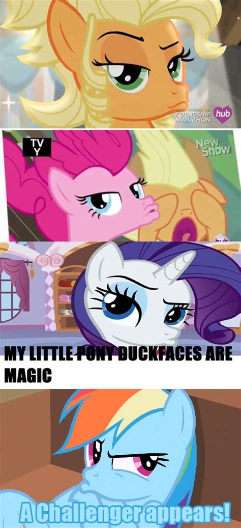 My Little Pony Memes My Little Pony Friendship Is Magic Photo