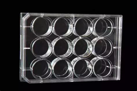 12 Well Plate For Cell Culture Medlab