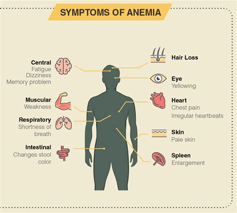 Symptoms Of Anemia In Men