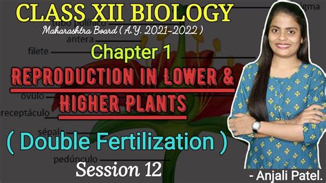 Class Xii Biology Reproduction In Lower And Higher Plants Double