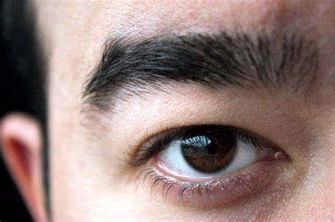 7 Ways To Get Thicker Eyebrows For Men That Works Cool Mens Hair