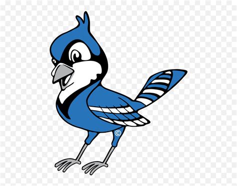 Blue Jay Logo Cute Blue Jay Clipart Pngblue Jays Logo Png Free