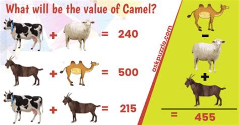 A question that can have different answers is a good question, it said. Then what will be the value of Camel? # See Answer