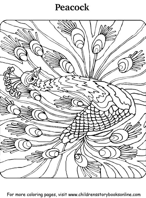 peacock coloring pages    print