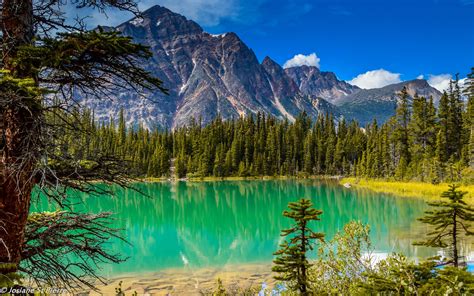 Wallpaper Mountains, trees, lake, nature landscape 1920x1200 HD Picture ...