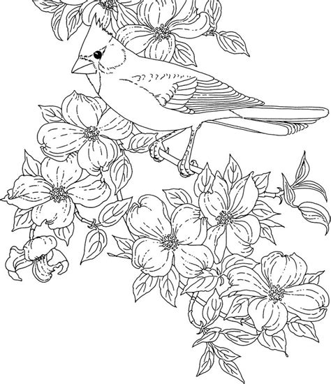 Hummingbird And Flower Coloring Pages at GetDrawings | Free download