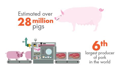 Annual per capita meat consumption in china has increased fourfold since then, to 37 kilograms (approx 82 pounds) of pork. Vietnam is one of the World's top pork consumption ...