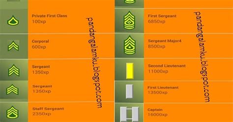 Kamu bakalan langsung mati atau respawn. Rank Pangkat Dalam Mini Militia Doodle Army 2 - Pandang Alamku