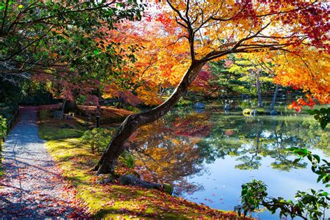 Osaka castle is one of the largest castles in japan with huge stone walls. Osaka Castle : The Legendary Palace of Osaka, Japan ...