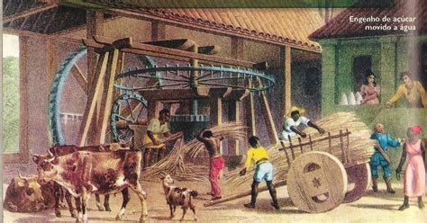 Duas Atividades Econômicas Destacaram-se Durante O Período Colonial Brasileiro