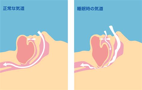 喉を開くとは？ | Kayoko Voice Lab