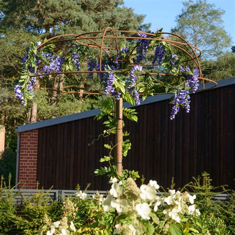 Wisteria coupon codes for discount shopping at wisteria.com and save with 123promocode.com. Wisteria Umbrella Plant Support - Harrod Horticultural