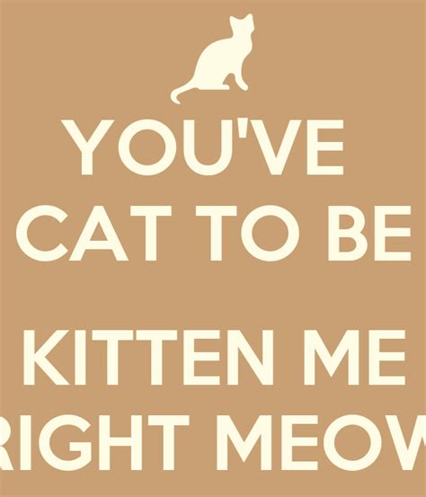 Youve Cat To Be Kitten Me Right Meow Poster Viraglaura Keep Calm O