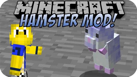 Minecraft Hamster Mod Youtube