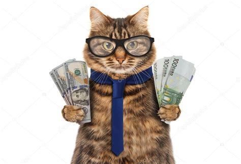 Funny Cat Is Holding Banknotes — Stock Photo © Funnycats 107488766