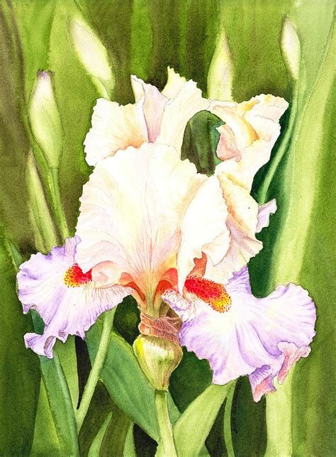 Iris Flower Dancing Petals Painting By Irina Sztukowski