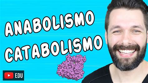 Metabolismo Anabolismo E Catabolismo Biologia Com Samuel Cunha Youtube