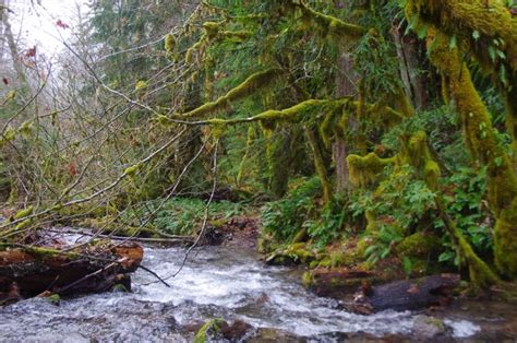 Bourbon Creek Crossing Hiking In Portland Oregon And Washington