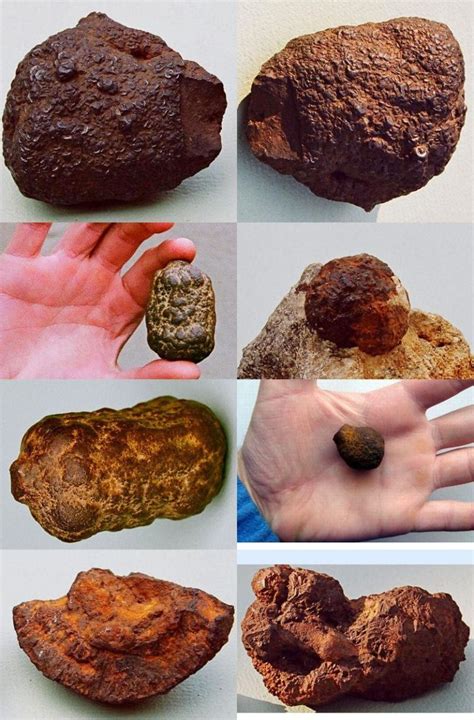 Iron Oxide Concretions And Nodules Some Meteorite Information