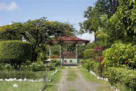 Bouquet of roses, bouquet of seasonal flowers, fresh. Las 10 Mejores Cosas Que Ver en Guyana - Take my Secrets