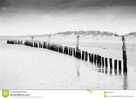 Persoon, abstract, zwart en wit. Zwart-wit Beeld Van Strand At Low Tide Met Houten Postenlan Stock Afbeelding - Afbeelding ...