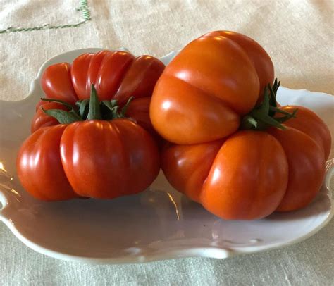 Best Heirloom Tomato Varieties Matching Variety To Use Farm To Jar Food