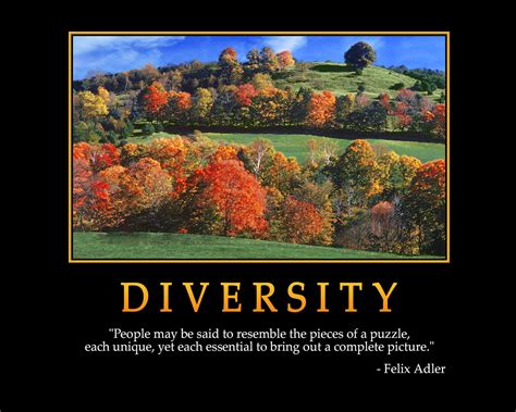 Positive Quotes About Diversity Quotesgram