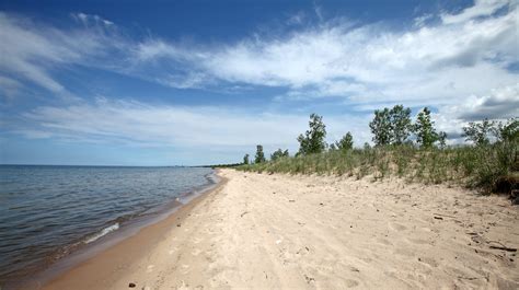 Lake Michigan beaches close as toxic spill kills hundreds of fish